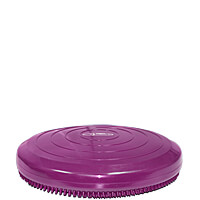 FitPAWS Balance Disc - 14